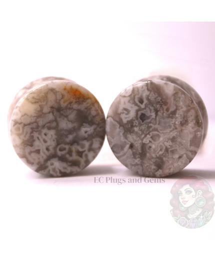 Crazy Lace Stone Plugs Double Flare Natural Spot Agate 3mm-22mm