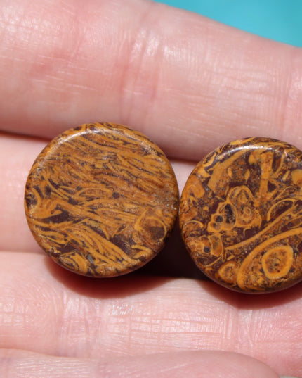 Organic Calligraphy Stone Plugs – Double Flare Stone with Wood-Like Appearance Rate and Unique  Gauges for Natural Style - EC Plugs