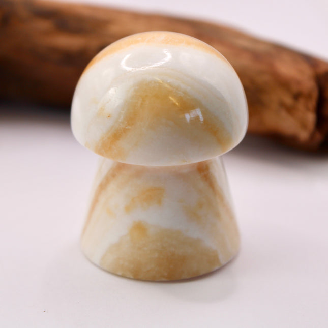 Mango Calcite is known for its energizing and cleansing properties. It’s believed to boost confidence, motivation, and creativity while soothing emotional stress. Often used in manifestation and solar plexus chakra work, it supports positivity and personal growth.
Carved into a whimsical mushroom shape—symbolic of resilience, transformation, and nature’s cycles—this stone is a delightful blend of joyful energy and earthy charm.