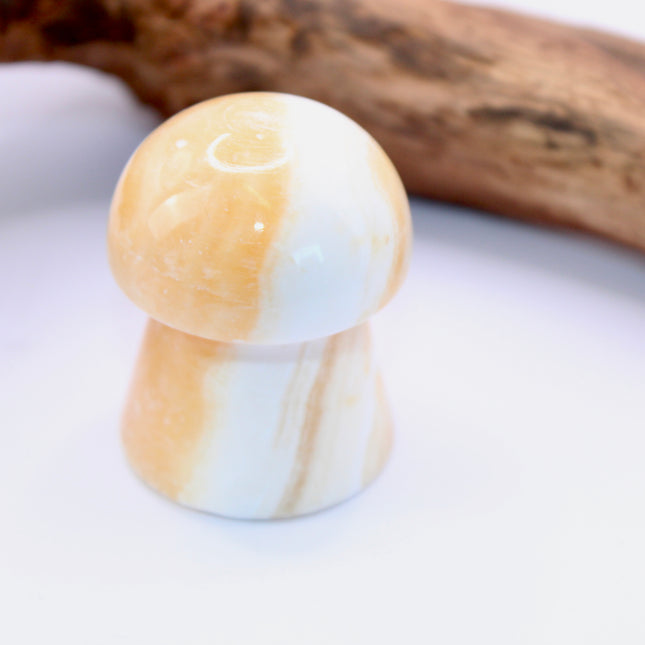 Mango Calcite is known for its energizing and cleansing properties. It’s believed to boost confidence, motivation, and creativity while soothing emotional stress. Often used in manifestation and solar plexus chakra work, it supports positivity and personal growth.
Carved into a whimsical mushroom shape—symbolic of resilience, transformation, and nature’s cycles—this stone is a delightful blend of joyful energy and earthy charm.