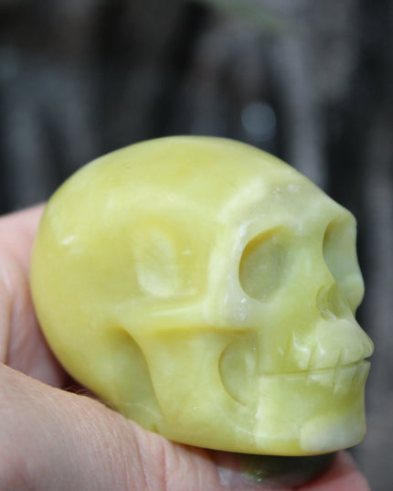 Lemon Jade Skull – Crystal Carving for Confidence, Luck & Creativity, Hand-Carved Yellow Stone, Spiritual Decor - EC Plugs