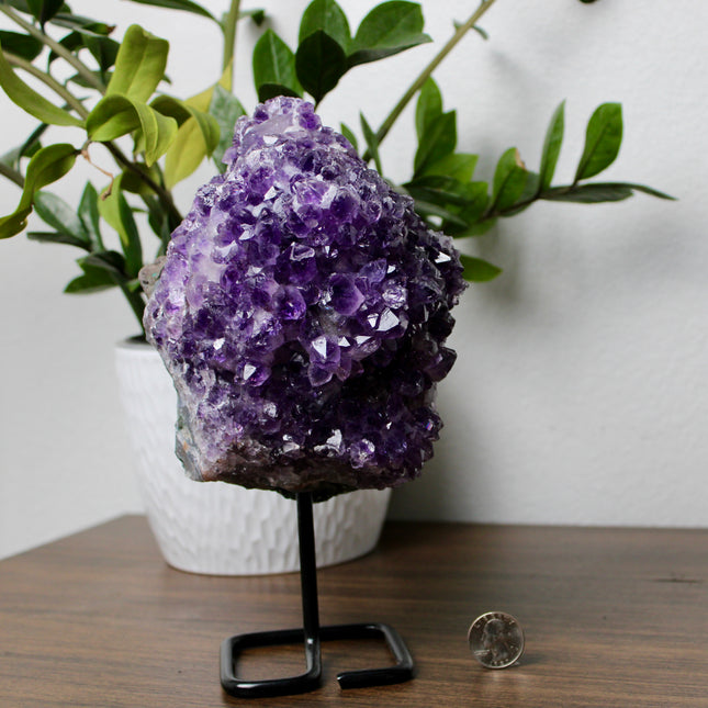 A dazzling Genuine Grade A Amethyst Druzy Geode rests on a natural surface, shimmering with tightly clustered crystal points in deep, vibrant purple. The interior of the geode sparkles with fine druzy crystals, catching the light like sugar-coated gemstones. This high-grade piece showcases rich violet hues, excellent clarity, and a dense crystal formation—hallmarks of premium quality amethyst. The outer shell maintains its raw, earthy texture, creating a striking contrast to the radiant interior. Perfect fo