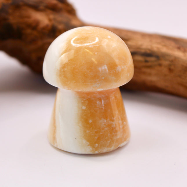 Mango Calcite is known for its energizing and cleansing properties. It’s believed to boost confidence, motivation, and creativity while soothing emotional stress. Often used in manifestation and solar plexus chakra work, it supports positivity and personal growth.
Carved into a whimsical mushroom shape—symbolic of resilience, transformation, and nature’s cycles—this stone is a delightful blend of joyful energy and earthy charm.