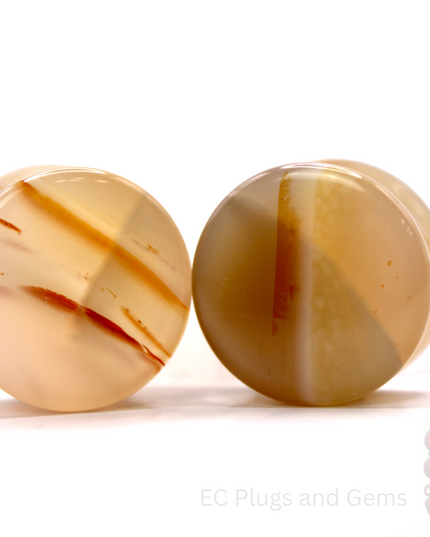 Two agate ear gauges plugs with a visible ec plugs logo on a white background