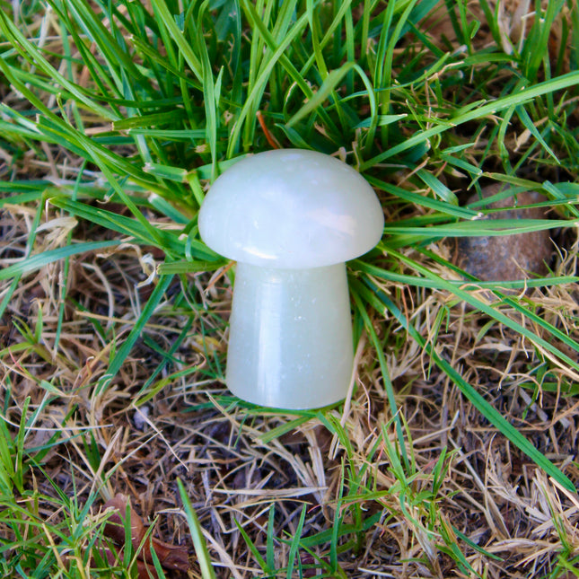 Green Calcite is a soothing stone known for its ability to calm the heart and clear away emotional blockages. Associated with the heart chakra, it promotes forgiveness, self-love, and fresh starts. Its gentle energy helps to release stagnant patterns and invite in a sense of peace, healing, and renewal.