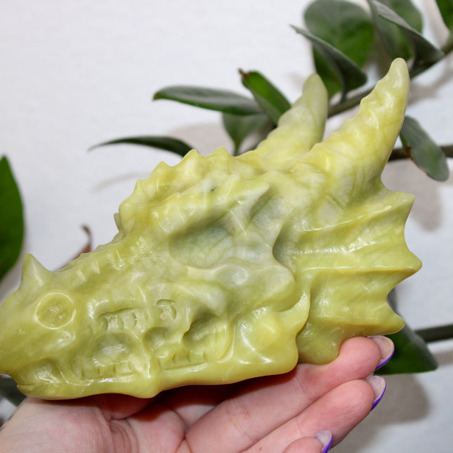Large Xiuyan Jade Dragon Skull – Hand-Carved Green Stone Sculpture, Fantasy Decor, Unique Collector’s Piece, Statement Display - EC Plugs