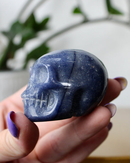 This 2.5" Blue Aventurine Skull is expertly hand-carved from natural gemstone, showcasing rich blue tones and intricate detailing. Each piece is polished to a smooth finish, making it a striking addition to any space. Due to the natural material, each skull is one of a kind, with unique patterns and shading.