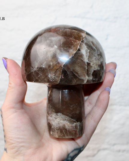 X-Large Smoky Quartz Mushroom Carving – 1-2lb Natural Stone Decorative Mushroom, Hand-Carved Quartz Display Piece, You Pick Your Exact Carving