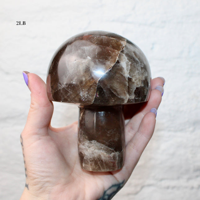 X-Large Smoky Quartz Mushroom Carving – 1-2lb Natural Stone Decorative Mushroom, Hand-Carved Quartz Display Piece, You Pick Your Exact Carving