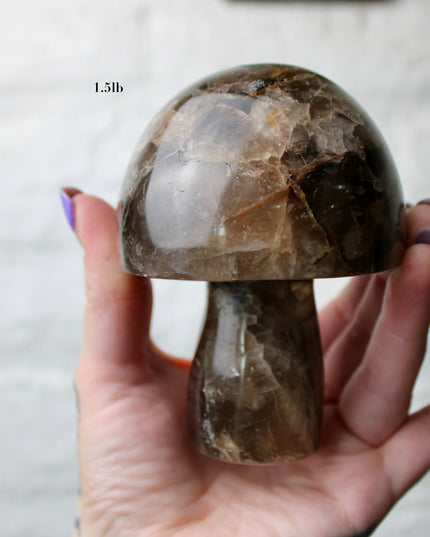 X-Large Smoky Quartz Mushroom Carving – 1-2lb Natural Stone Decorative Mushroom, Hand-Carved Quartz Display Piece, You Pick Your Exact Carving
