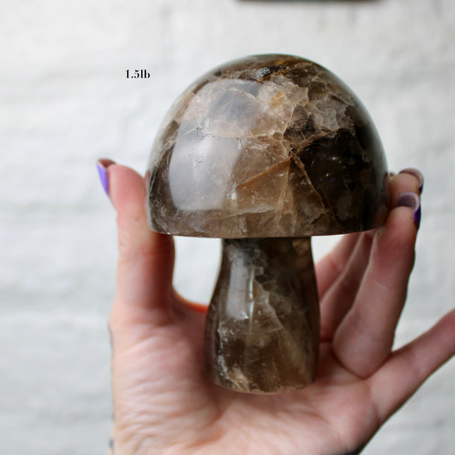 X-Large Smoky Quartz Mushroom Carving – 1-2lb Natural Stone Decorative Mushroom, Hand-Carved Quartz Display Piece, You Pick Your Exact Carving