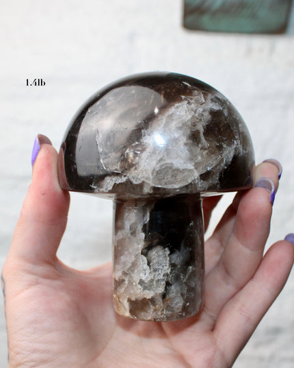 X-Large Smoky Quartz Mushroom Carving – 1-2lb Natural Stone Decorative Mushroom, Hand-Carved Quartz Display Piece, You Pick Your Exact Carving