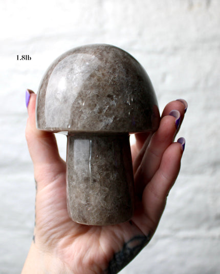 X-Large Smoky Quartz Mushroom Carving – 1-2lb Natural Stone Decorative Mushroom, Hand-Carved Quartz Display Piece, You Pick Your Exact Carving