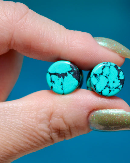 Turquoise Howlite Plugs - Gauges PAIR - Turquoise Blue and Black Gauges Marbled Color - EC Plugs