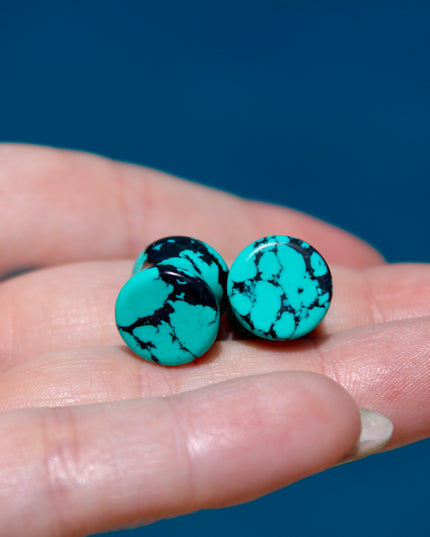 Turquoise Howlite Plugs - Gauges PAIR - Turquoise Blue and Black Gauges Marbled Color - EC Plugs
