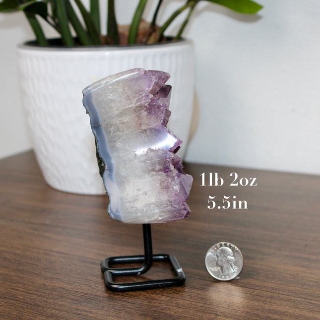 Amethyst Moon with Stand – Natural Geode Druzy Crystal Decor for Healing, Meditation & Moon Lovers - EC Plugs
