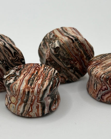 Leopard Jasper Double Flare Plugs - EC Plugs