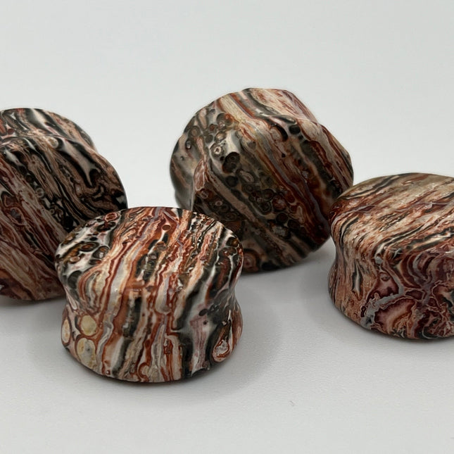 Leopard Jasper Double Flare Plugs - EC Plugs