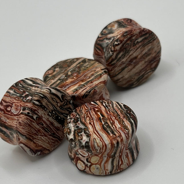Leopard Jasper Double Flare Plugs - EC Plugs