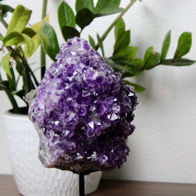 A dazzling Genuine Grade A Amethyst Druzy Geode rests on a natural surface, shimmering with tightly clustered crystal points in deep, vibrant purple. The interior of the geode sparkles with fine druzy crystals, catching the light like sugar-coated gemstones. This high-grade piece showcases rich violet hues, excellent clarity, and a dense crystal formation—hallmarks of premium quality amethyst. The outer shell maintains its raw, earthy texture, creating a striking contrast to the radiant interior. Perfect fo