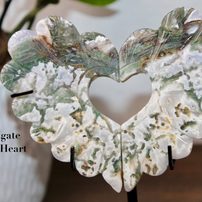 Bring nature’s elegance into your space with this one-of-a-kind Moss Agate Heart Feather Carving on Stand. Each piece is intricately carved into a heart-shaped feather design, capturing soft, organic curves that symbolize both love and lightness. Made from genuine Moss Agate, these carvings showcase lush, forest-like inclusions of deep green within a translucent to milky white base—every piece with its own unique pattern, just like nature intended.