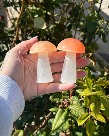 Selenite Mushroom Carving