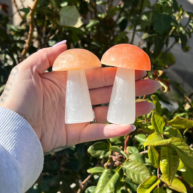 Selenite Mushroom Carving