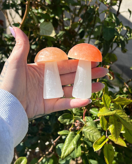 Selenite Mushroom Carving