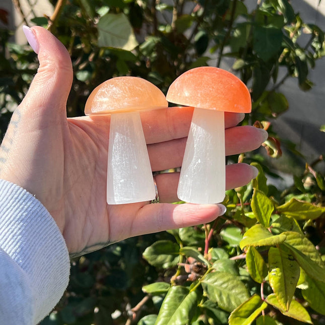 Selenite Mushroom Carving