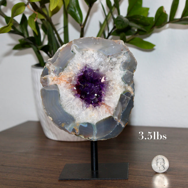 An impressive Large Geode stands tall on its included display stand, revealing a breathtaking Grade A Dark Purple Amethyst Druzy Center. The interior is densely lined with sparkling amethyst crystals, rich in deep violet tones and glowing with natural brilliance. The druzy surface catches the light with every angle, creating a glittering effect that highlights the exceptional clarity and saturation of the crystals. The raw outer shell offers a rugged, earthy contrast to the radiant core, emphasizing the geo