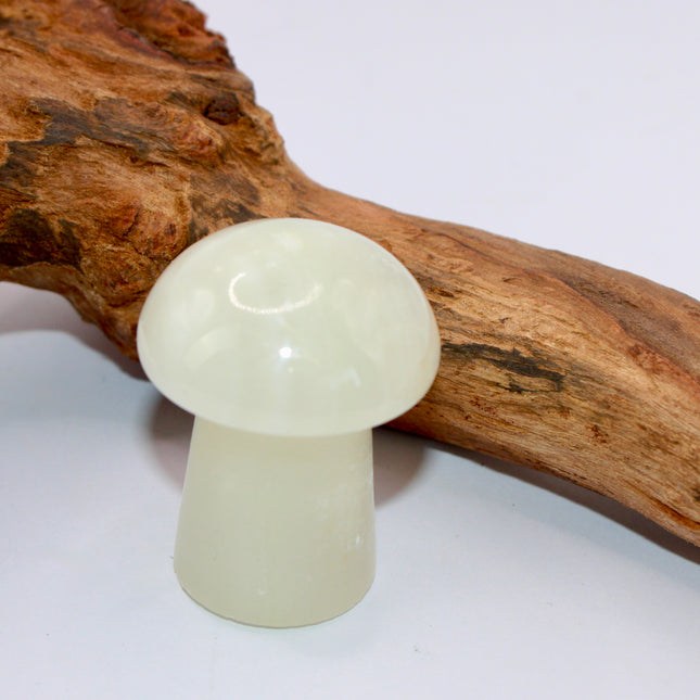 Green Calcite is a soothing stone known for its ability to calm the heart and clear away emotional blockages. Associated with the heart chakra, it promotes forgiveness, self-love, and fresh starts. Its gentle energy helps to release stagnant patterns