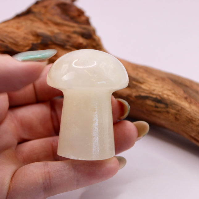 Green Calcite is a soothing stone known for its ability to calm the heart and clear away emotional blockages. Associated with the heart chakra, it promotes forgiveness, self-love, and fresh starts. Its gentle energy helps to release stagnant patterns