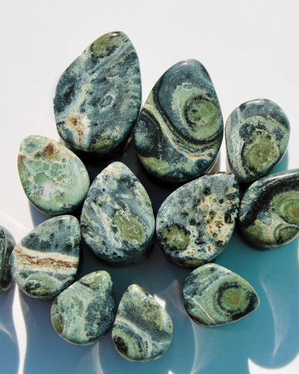 A captivating pair of Green Eye Jasper Teardrop Plugs rests gracefully on a natural backdrop. Each plug is carved into a smooth teardrop shape, showcasing earthy green tones swirled with intricate patterns of dark forest, moss, and soft olive hues. Subtle circular “eye” formations appear in the stone’s natural marbling, giving each piece a mysterious and organic feel. The polished surface enhances the depth and detail of the stone, while the teardrop shape offers a unique fit and bold silhouette.