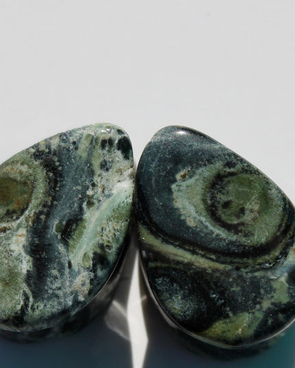 A captivating pair of Green Eye Jasper Teardrop Plugs rests gracefully on a natural backdrop. Each plug is carved into a smooth teardrop shape, showcasing earthy green tones swirled with intricate patterns of dark forest, moss, and soft olive hues. Subtle circular “eye” formations appear in the stone’s natural marbling, giving each piece a mysterious and organic feel. The polished surface enhances the depth and detail of the stone, while the teardrop shape offers a unique fit and bold silhouette.