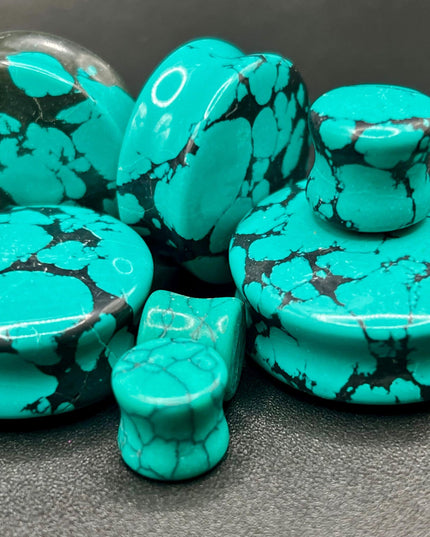 howlite turquoise plugs