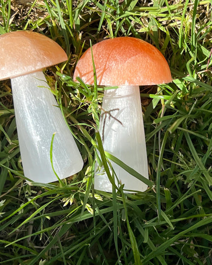 Selenite Mushroom Carving