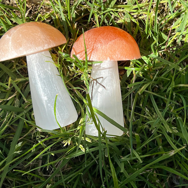 Selenite Mushroom Carving