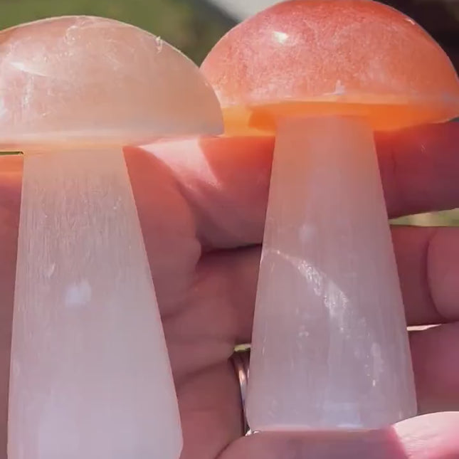 Selenite Mushroom Carving