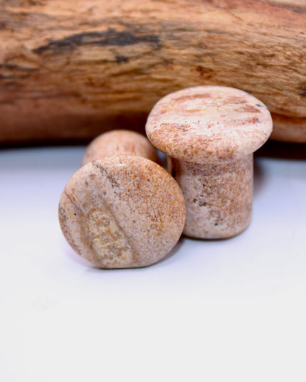 A beautifully earthy pair of Sandstone Single Flare Plugs rests on a soft, sunlit background. Each plug features warm tones of tan, ochre, and rusty red, with natural banding and subtle grain-like textures that resemble ancient desert landscapes or canyon walls. The surface is gently polished, revealing the stone’s organic patterns while maintaining its matte, grounded feel. Designed with a single flare and paired with secure O-rings, these plugs offer comfort and style with a raw, natural edge.