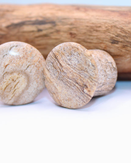 A beautifully earthy pair of Sandstone Single Flare Plugs rests on a soft, sunlit background. Each plug features warm tones of tan, ochre, and rusty red, with natural banding and subtle grain-like textures that resemble ancient desert landscapes or canyon walls. The surface is gently polished, revealing the stone’s organic patterns while maintaining its matte, grounded feel. Designed with a single flare and paired with secure O-rings, these plugs offer comfort and style with a raw, natural edge.