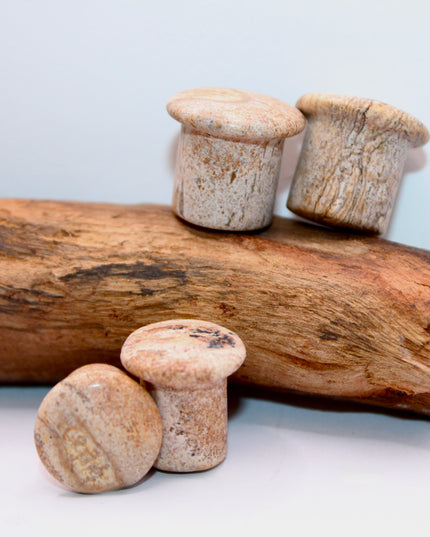 A beautifully earthy pair of Sandstone Single Flare Plugs rests on a soft, sunlit background. Each plug features warm tones of tan, ochre, and rusty red, with natural banding and subtle grain-like textures that resemble ancient desert landscapes or canyon walls. The surface is gently polished, revealing the stone’s organic patterns while maintaining its matte, grounded feel. Designed with a single flare and paired with secure O-rings, these plugs offer comfort and style with a raw, natural edge.