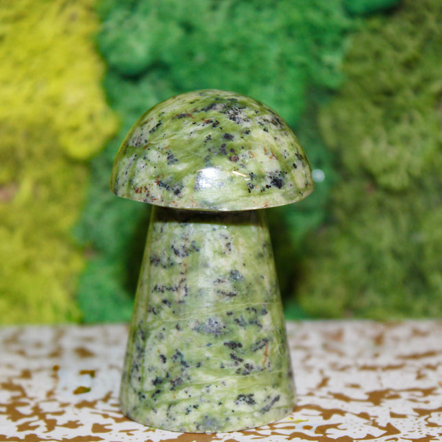 Bring a touch of nature’s magic into your space with this hand-carved Green Serpentine mushroom. With its soft to rich green hues and earthy marbling, this crystal piece is perfect for altars, terrariums, crystal grids, or display. Symbolizing growth, grounding, and a deep connection to the earth, it makes a meaningful gift for collectors and enthusiasts alike.