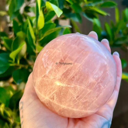 Collection image for: Taurus