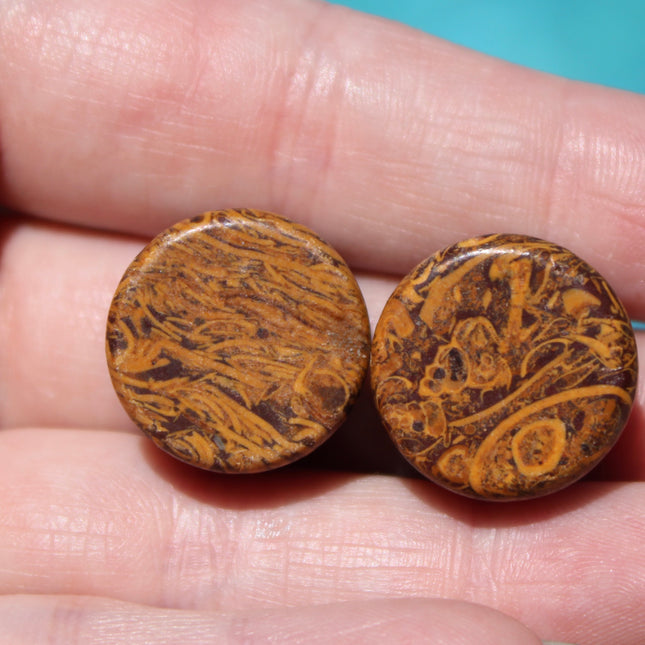 Organic Calligraphy Stone Plugs – Double Flare Stone with Wood-Like Appearance Rate and Unique  Gauges for Natural Style