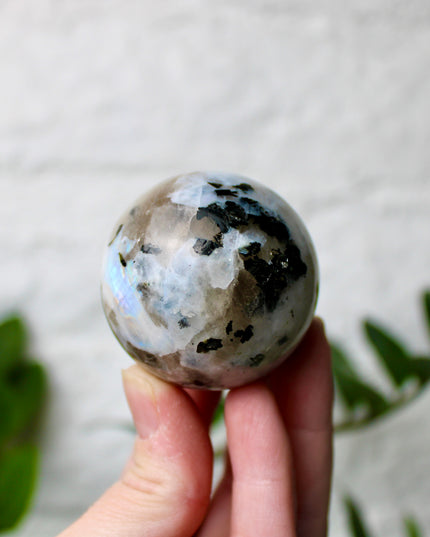 Moonstone Black and White Iridescent Flashy Stone Sphere You Pick Your Sphere!