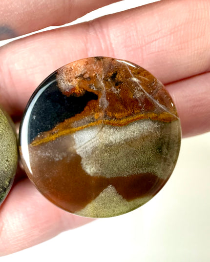 Polychrome Desert Jasper Double Flare Jewelry for Stretched Ears