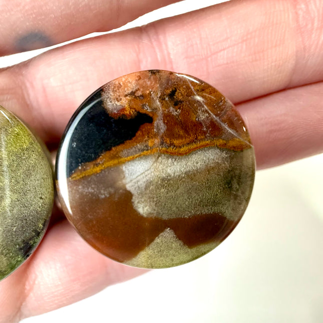 Polychrome Desert Jasper Double Flare Jewelry for Stretched Ears