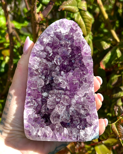 A stunning Amethyst Druzy Cluster Geode Cathedral stands tall with a graceful, arched silhouette reminiscent of gothic architecture. The front face reveals a deep cavern densely lined with sparkling violet and lavender druzy crystals, each point catching the light to create a glittering, celestial effect. The interior displays rich gradients of purple, fading into soft quartz and smoky undertones near the edges. 