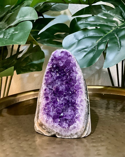 A stunning Amethyst Druzy Cluster Geode Cathedral stands tall with a graceful, arched silhouette reminiscent of gothic architecture. The front face reveals a deep cavern densely lined with sparkling violet and lavender druzy crystals, each point catching the light to create a glittering, celestial effect. The interior displays rich gradients of purple, fading into soft quartz and smoky undertones near the edges.  Druzy