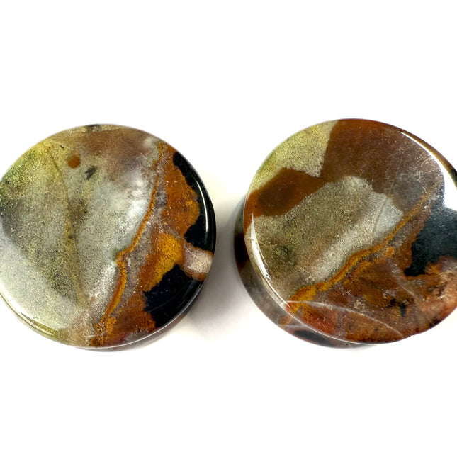 Polychrome Desert Jasper Double Flare Jewelry for Stretched Ears